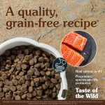 غذای خشک سگ بالغ تیست او د وایلد ماهی سالمون دودی Taste Of The Wild Pacific Stream وزن 2 کیلوگرم - تصویر 3