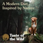 غذای خشک سگ تیست او د وایلد گوزن Taste Of The Wild Pine Forest وزن 2 کیلوگرم - تصویر 9