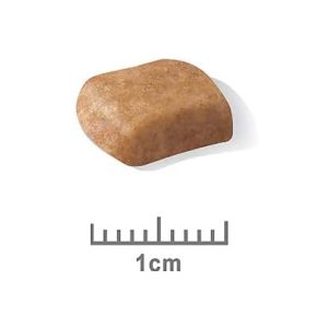 غذای خشک توله سگ پودل رویال کنین 3 کیلوگرم 3kg Poodle Puppy