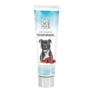 خمیر دندان با طعم گوشت سگ 100g M-Pets
