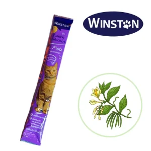 تشویقی بستنی گربه مالت 15g Winston