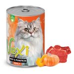 غذای گربه پته وکسی گوشت و کدو 400g Vexi Beef & Pumpkin