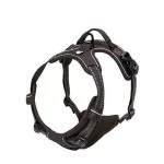 هارنس تنی سگ L