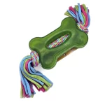 اسباب بازی دندانی طرح استخوان سبز