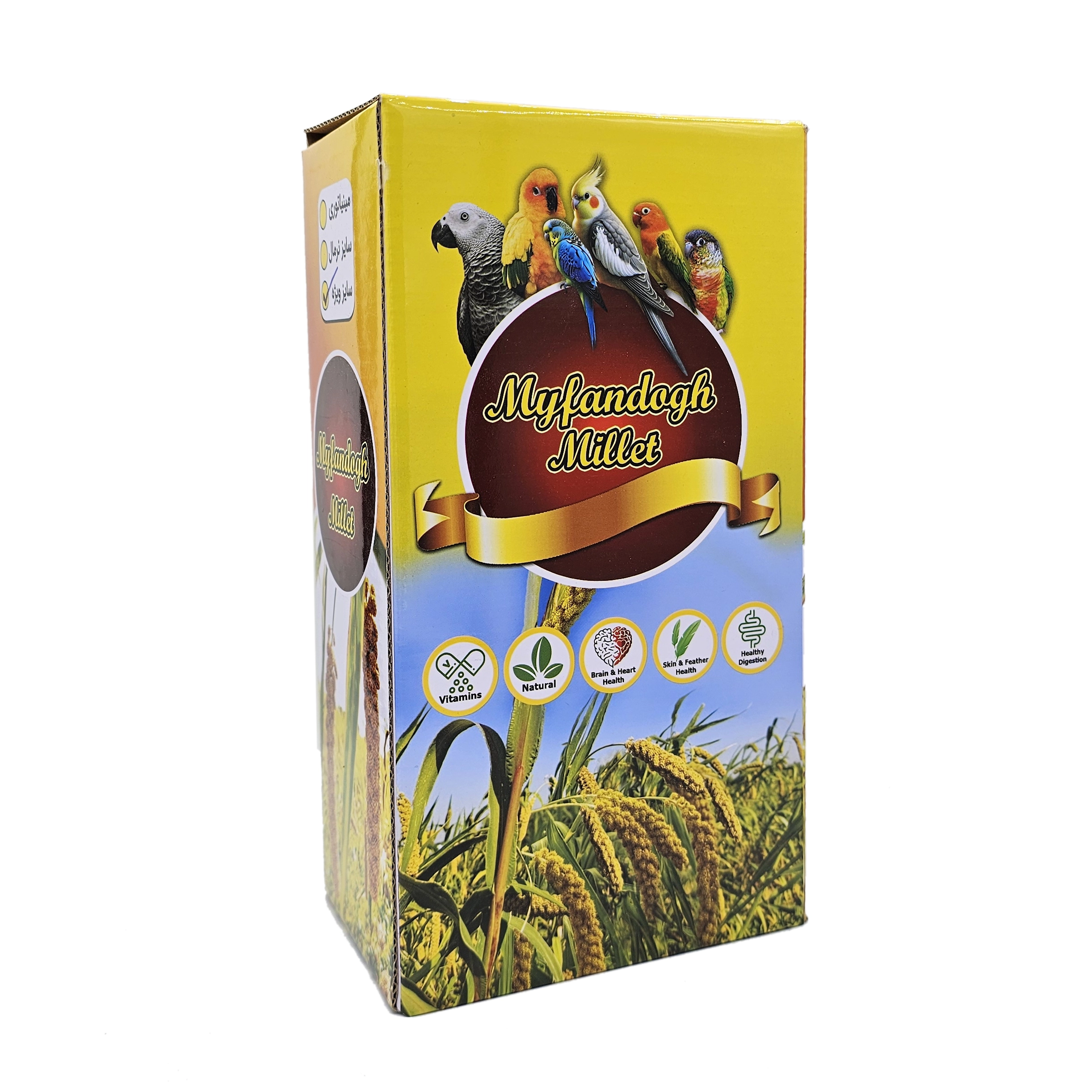 ارزن خوشه ای معمولی My fandogh