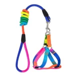 قلاده تنی رنگین کمانی M