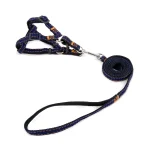 قلاده تنی HelloMickey M