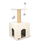 درخت گربه کد P نینا پت