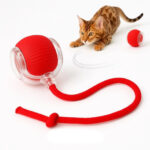 توپ هوشمند پردار