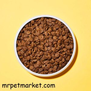 غذای خشک گربه