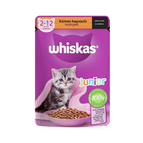 5900951301964 پوچ بچه گربه ویسکاس گوشت پرندگان در سس Whiskas وزن 85 گرم