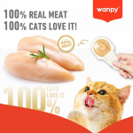 تشویقی بستنی گربه ونپی قاشقی ماهی سالمون 1 عدد Wanpy وزن 16 گرم