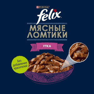 پوچ گربه بالغ فلیکس اردک در سس Felix وزن 75 گرم