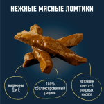 پوچ گربه بالغ فلیکس اردک در سس Felix وزن 75 گرم