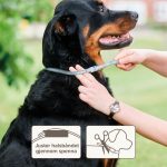 قلاده سگ بیفار ضد کک و کنه Beaphar Collar سایز 65 سانتی متر - تصویر 7
