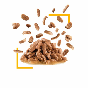 پوچ گربه رویال کنین سنسوری تیست در سس Royal Canin Sensory Taste وزن 85 گرم