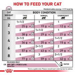 پوچ گربه رویال کنین رنال مرغ Royal Canin Renal وزن 85 گرم