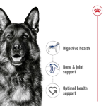 غذای خشک سگ نژاد بزرگ رویال کنین Royal Canin Maxi Adult وزن 4 کیلوگرم