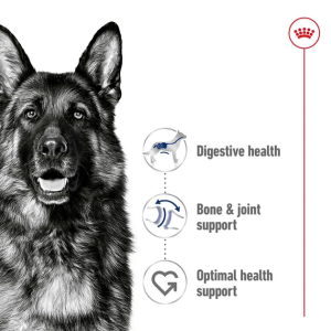 غذای خشک سگ نژاد بزرگ رویال کنین Royal Canin Maxi Adult وزن 4 کیلوگرم