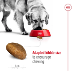 غذای خشک سگ نژاد بزرگ رویال کنین Royal Canin Maxi Adult وزن 4 کیلوگرم