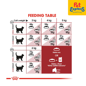غذای خشک گربه رویال کنین فیت Royal Canin Fit وزن 15 کیلوگرم