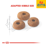غذای خشک گربه رویال کنین فیت Royal Canin Fit وزن 15 کیلوگرم - تصویر 2