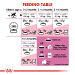 غذای خشک بچه گربه رویال کنین Royal Canin Kitten وزن 10 کیلوگرم