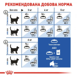 غذای خشک گربه رویال کنین ایندور Royal Canin Indoor وزن 10 کیلوگرم - تصویر 2