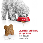 غذای خشک سگ نژاد کوچک رویال کنین Royal Canin Mini Adult وزن 1 کیلوگرم (فله) - تصویر 4