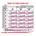 غذای خشک درمانی گربه رویال کنین رنال اسپشیال Royal Canin Renal Special وزن 2 کیلوگرم