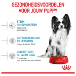 غذای خشک توله سگ نژاد خیلی کوچک رویال کنین Royal Canin X Small وزن 1.5 کیلوگرم - تصویر 3