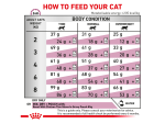 غذای خشک درمانی گربه رویال کنین رنال سلکت Royal Canin Renal Select وزن 2 کیلوگرم