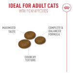 غذای خشک گربه رویال کنین Royal Canin Fussy Exigent وزن 2 کیلوگرم - تصویر 2