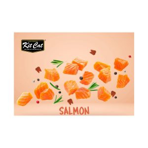 تشویقی چیپسی گربه کیت کت ماهی سالمون Kit Cat وزن 20 گرم