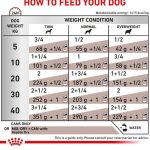 کنسرو درمانی سگ هپاتیک رویال کنین Royal Canin Hepatic وزن 420 گرم