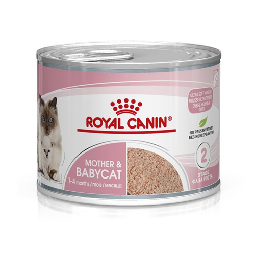 9003579311660 کنسرو مدل استارتر مادر و بچه گربه رویال کنین Royal canin وزن 195 گرم
