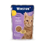 پوچ گربه بالغ وینستون طعم متفاوت Winston وزن 100 گرم - تصویر 2