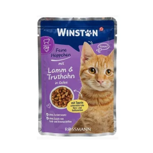 پوچ گربه بالغ وینستون طعم متفاوت Winston وزن 100 گرم