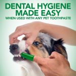 ست ژل دندان و مسواک انگشتی سگ وتس بست Vet’s Best وزن 100 گرم