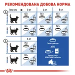 غذای خشک ایندور رویال کنین Royal Canin Indoor وزن 400 گرم