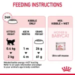 غذای خشک مادر و بچه گربه رویال کنین Royal Canin Mother & Baby وزن 400 گرم