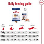 غذای خشک سگ نژاد بزرگ رویال کنین Royal Canin Maxi Adult وزن 15 کیلوگرم