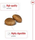 غذای خشک سگ نژاد بزرگ رویال کنین Royal Canin Maxi Adult وزن 15 کیلوگرم