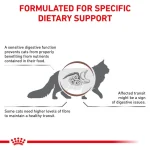 غذای خشک درمانی گربه رویال کنین گاسترواینتستینال Royal Canin Gastro Low Fat وزن 2 کیلوگرم