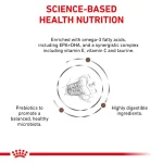 غذای خشک درمانی گربه رویال کنین گاسترواینتستینال Royal Canin Gastro Low Fat وزن 2 کیلوگرم