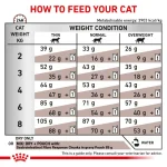 غذای خشک درمانی گربه رویال کنین گاسترواینتستینال Royal Canin Gastro Low Fat وزن 2 کیلوگرم
