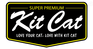 کیت کت/Kit Cat