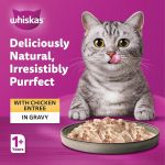 پوچ گربه بالغ ویسکاس مرغ در سس Whiskas وزن 85 گرم