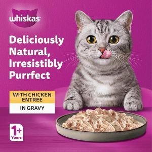 پوچ گربه بالغ ویسکاس مرغ در سس Whiskas وزن 85 گرم