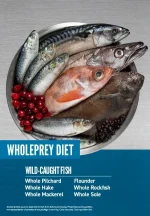 غذای خشک گربه بالغ اوریجن Orijen Six Fish وزن 1.8 کیلوگرم